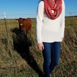 Goodwill Kansas News Article November 2017 Fall And Winter Looks Sweater Scarf